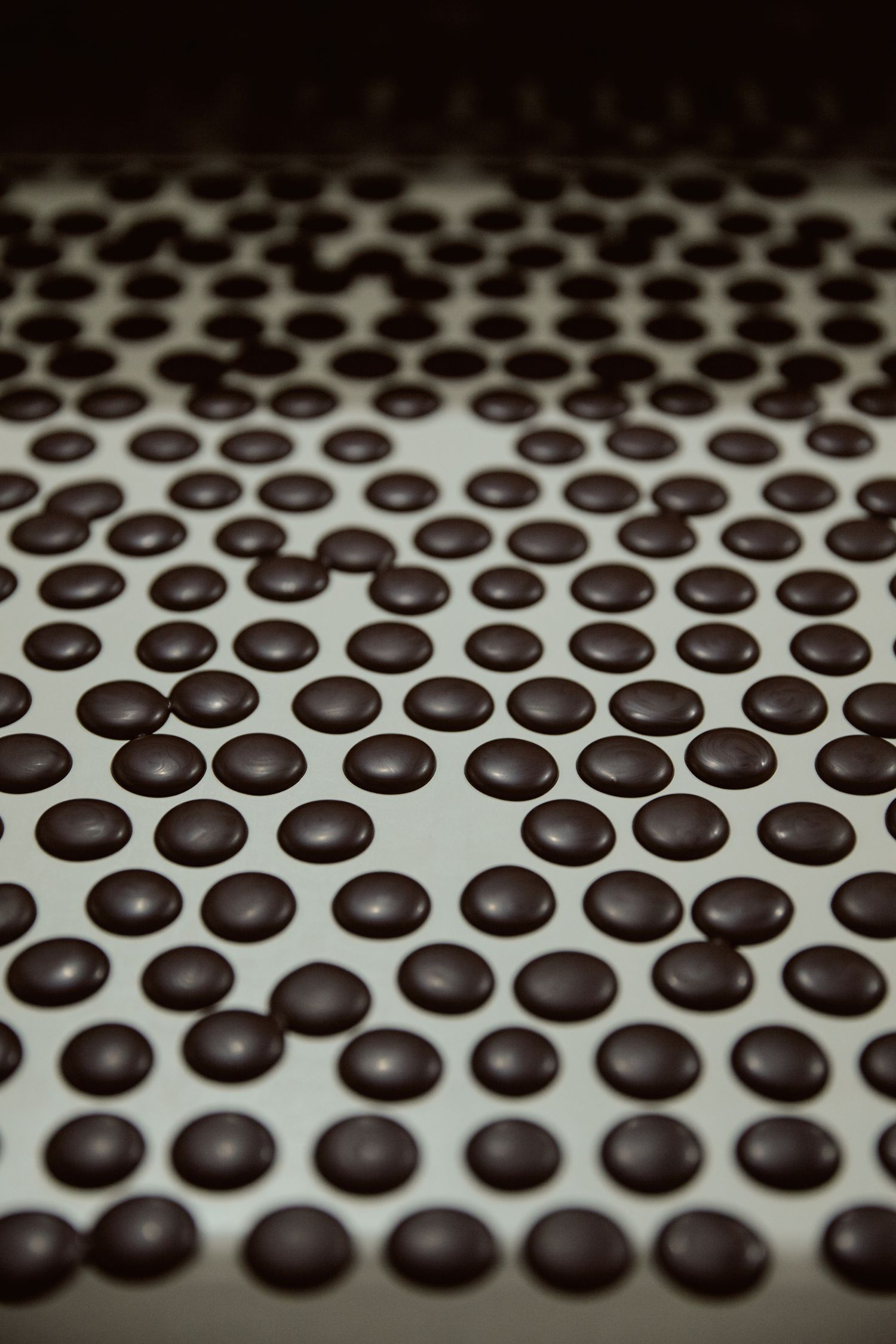 Bonbons de chocolat