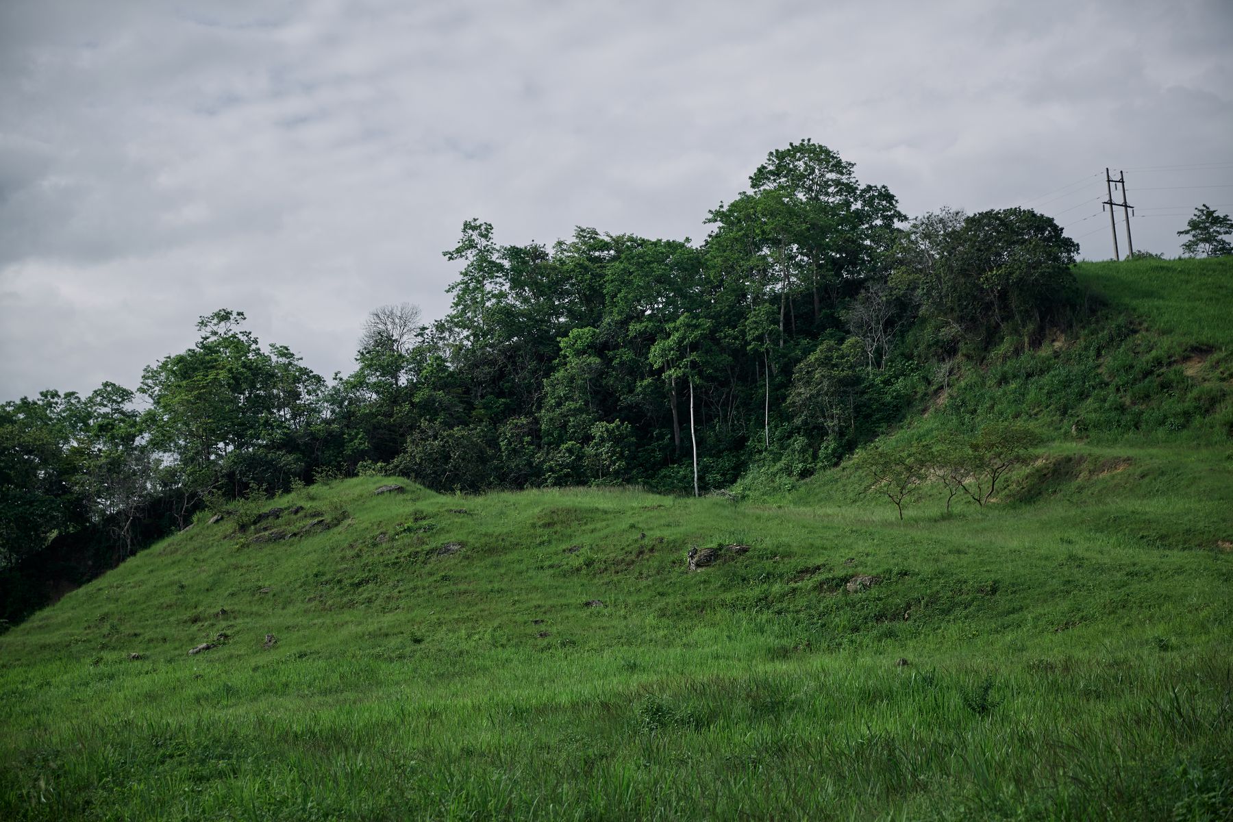 Collines d'Esmeraldas