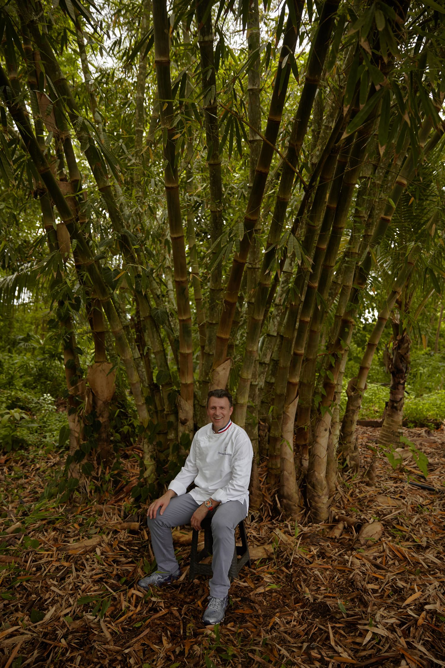 Philippe Chatelain sous les bambous